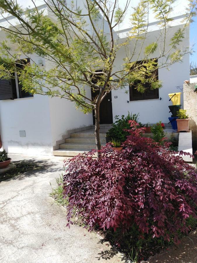 Casa Alessandra Surbo Dış mekan fotoğraf